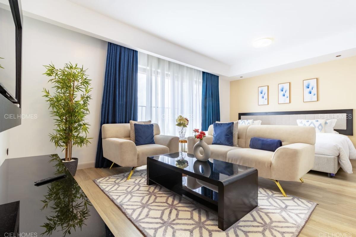 Serviced Studio Apartment with En Suite in Upper Hill - 5