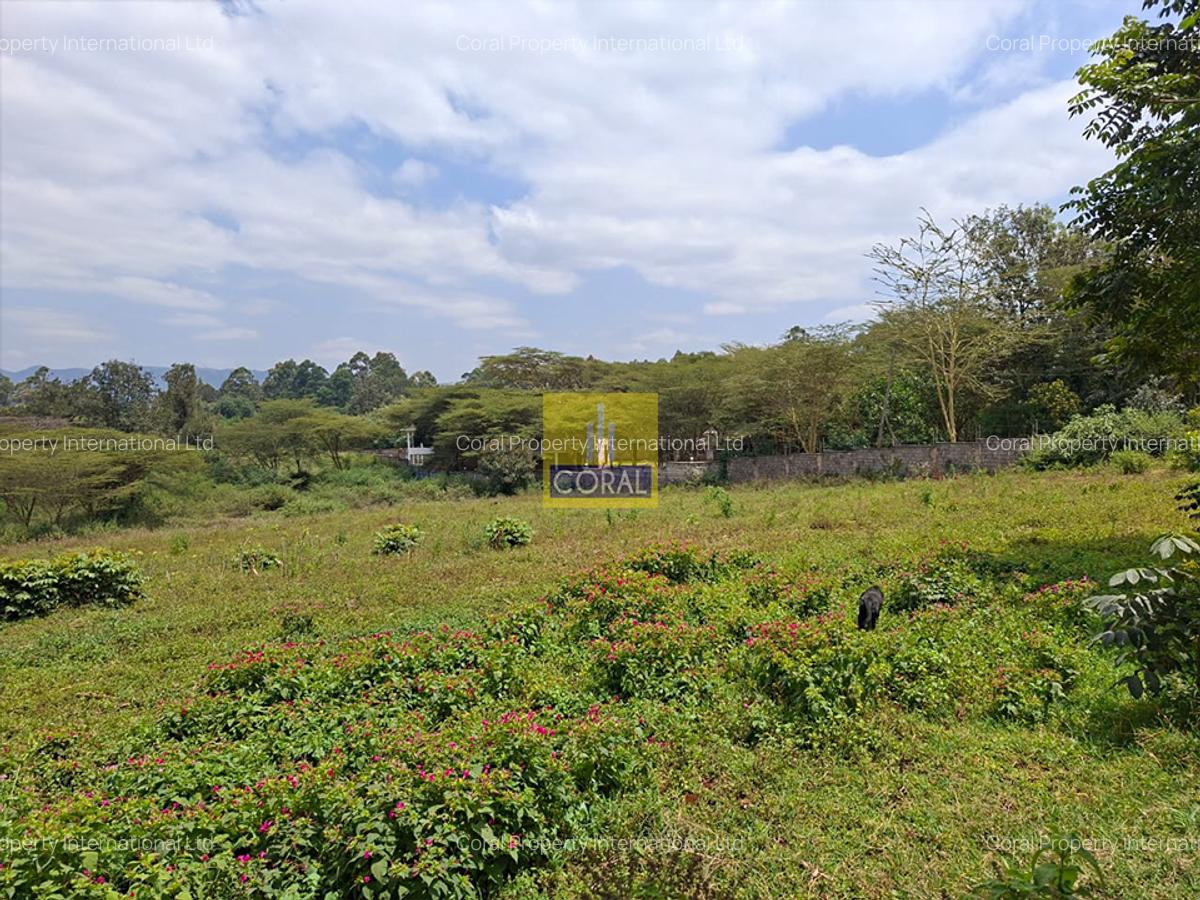 1 ac Land in Karen - 2