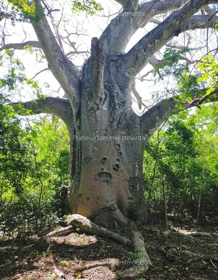Land at Kuruwitu Beach Vipingo - 19