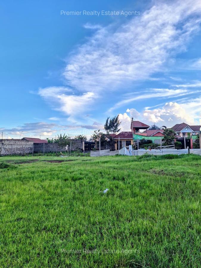 0.125 ac Residential Land at Kamakis - 5