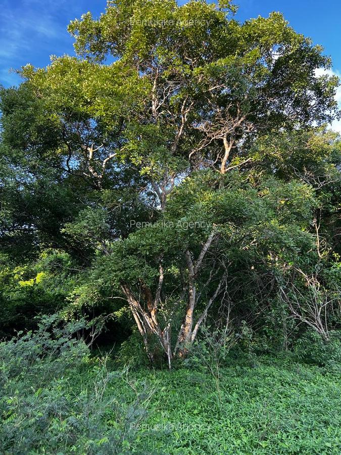 Commercial Land in Vipingo - 8