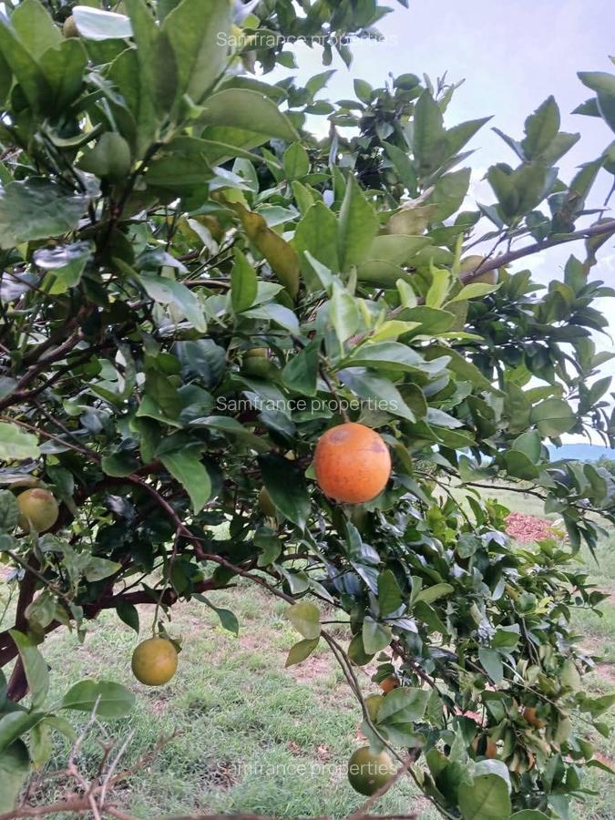 2,000 ac Commercial Land at Voi Mwatate - 4