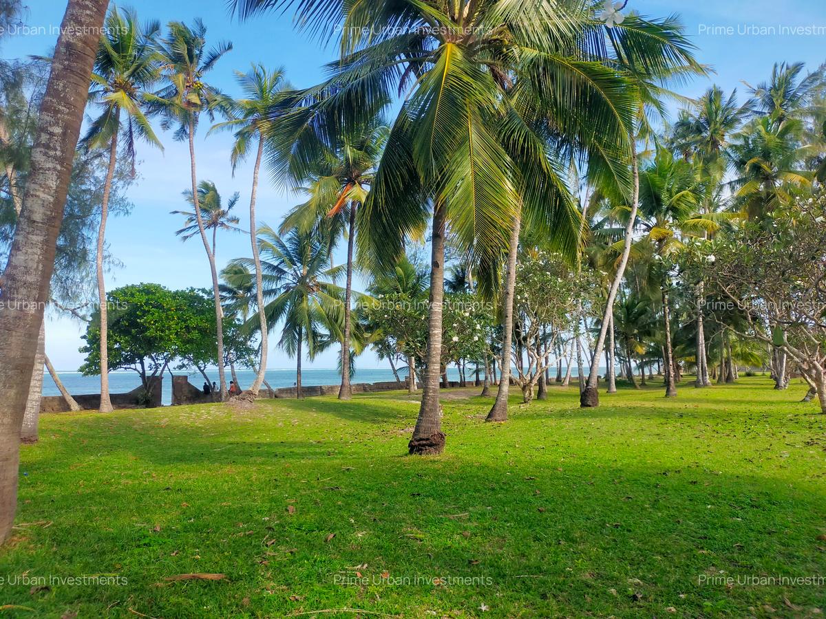 3.9 ac Land at Kikambala Beach - 20