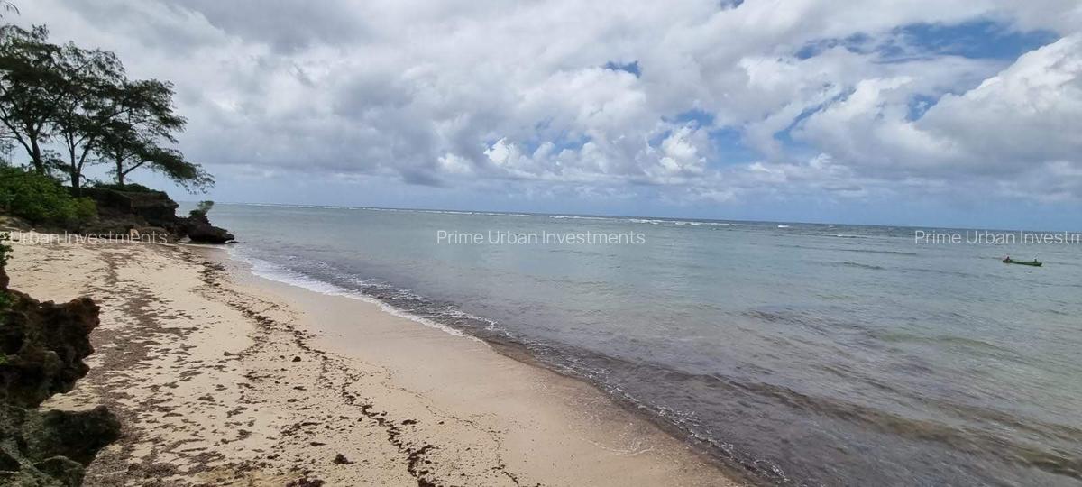 Land at Kuruwitu Beach Vipingo - 13