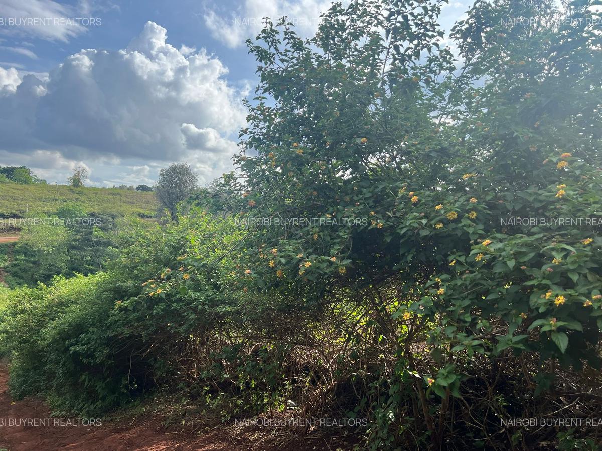 25 ac Land in Kitisuru - 3