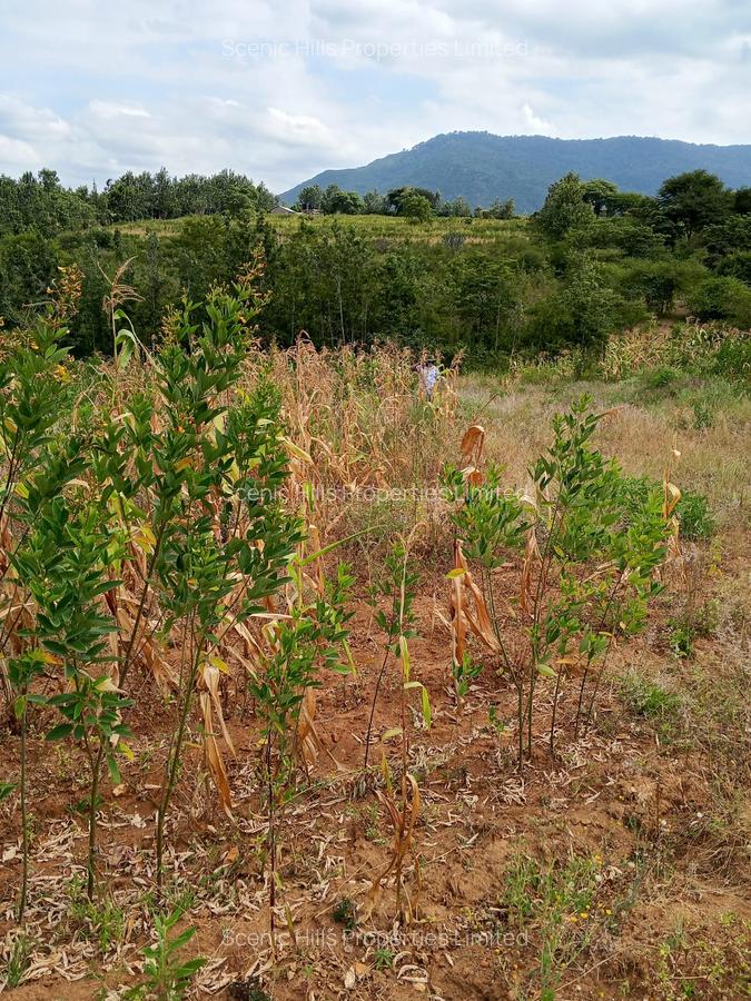 5,000 m² Land at Kilimambogo - 4