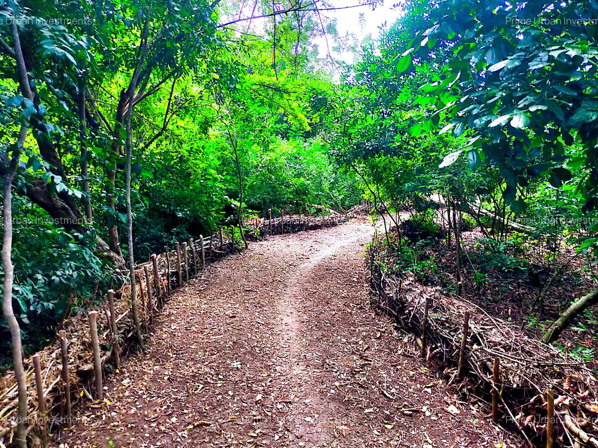 8,093.72 m² Land at Mtwapa Creek Aloo Drive - 10