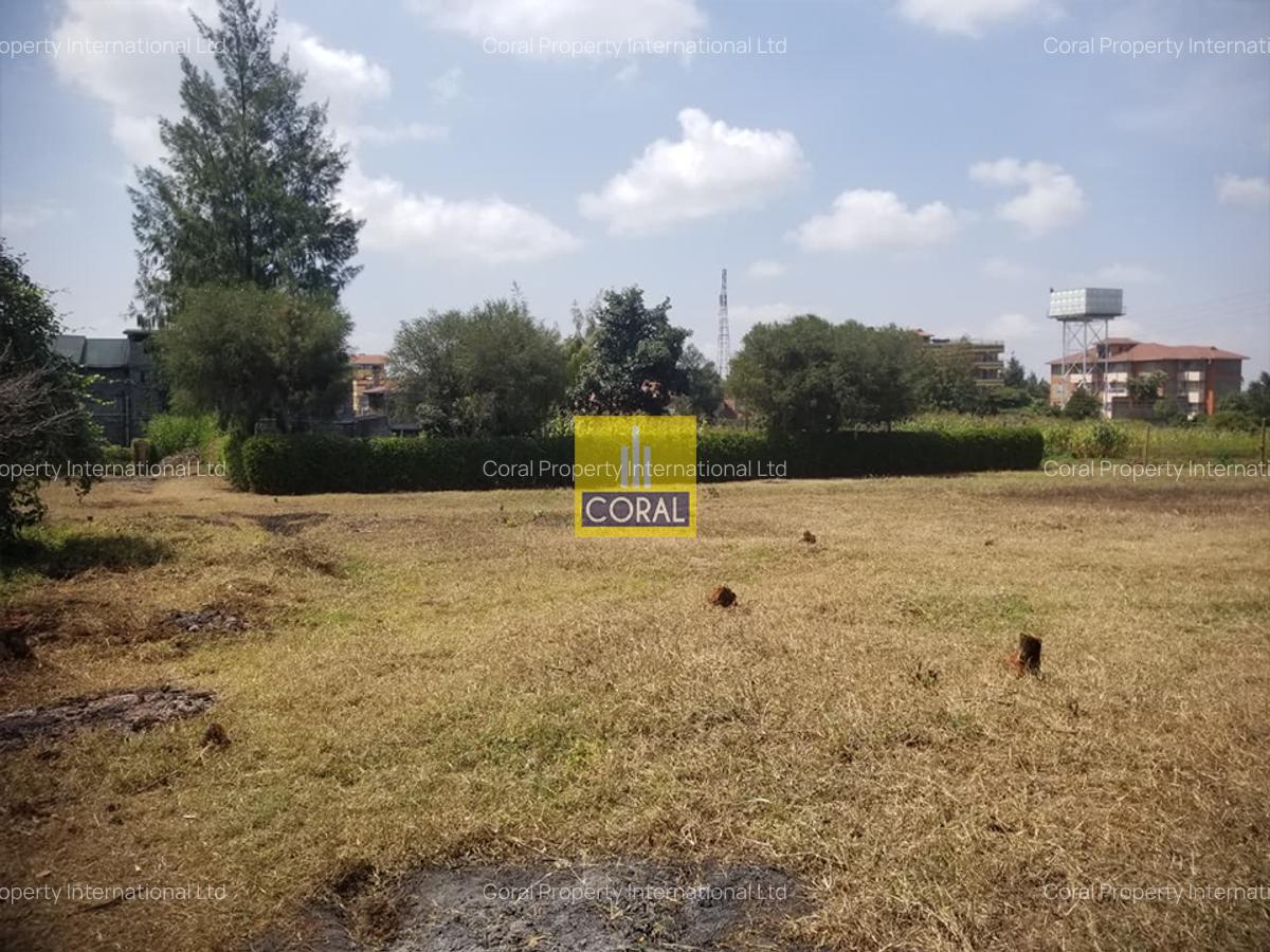 Land in Limuru Town - 7