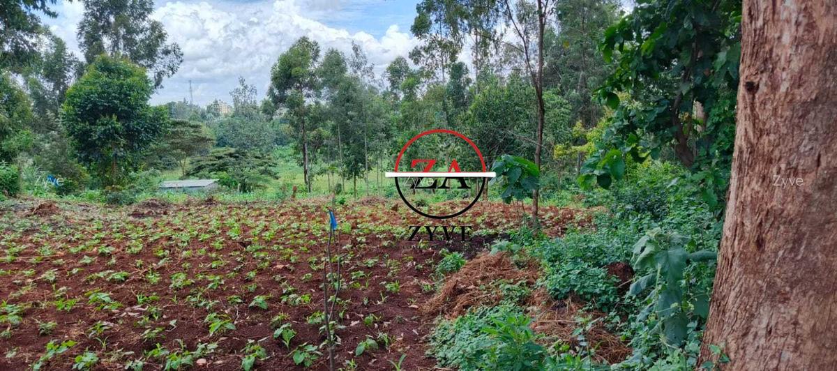 0.125 ac Land at Off Ruaka Banana Road - 4