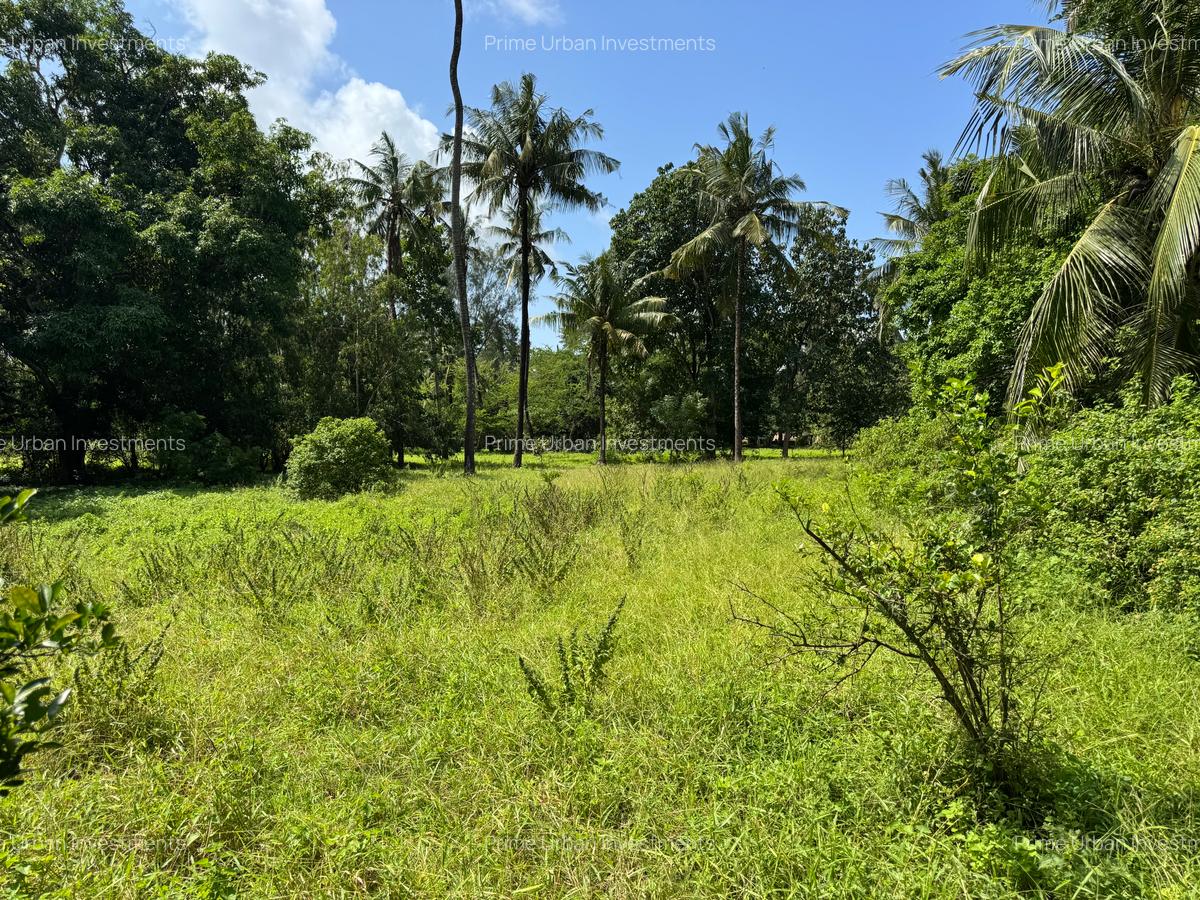 Land at Kikambala - Mombasa Malindi Highway - 8