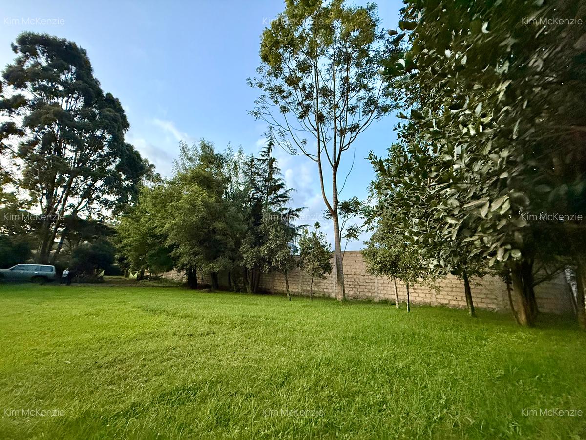 0.5 ac Land at Limuru A104/B3 - 5