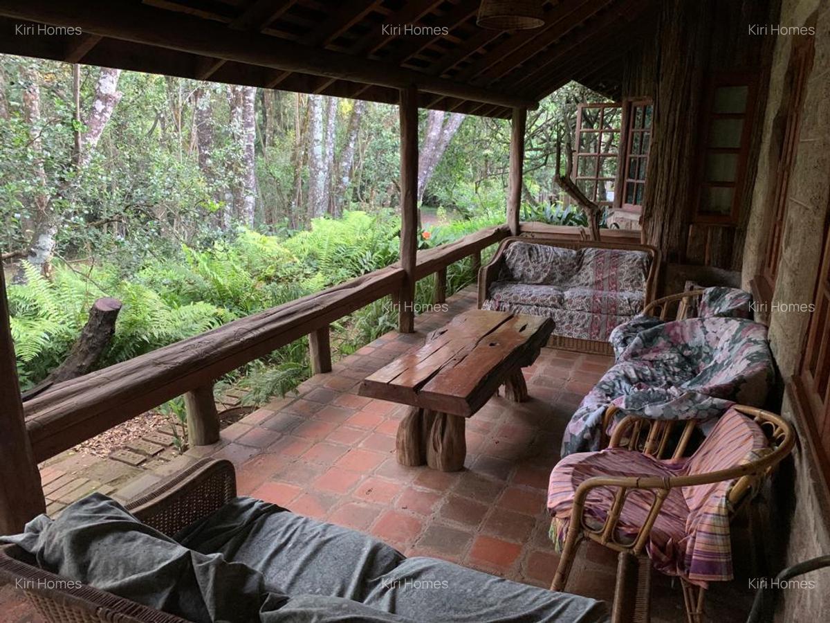 Land in Nanyuki - 6