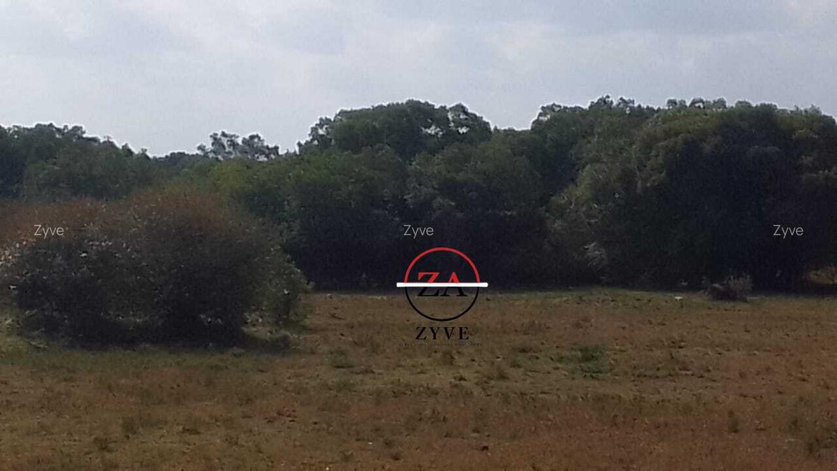 88 ac Land at Ol Choro Conservancy - 2