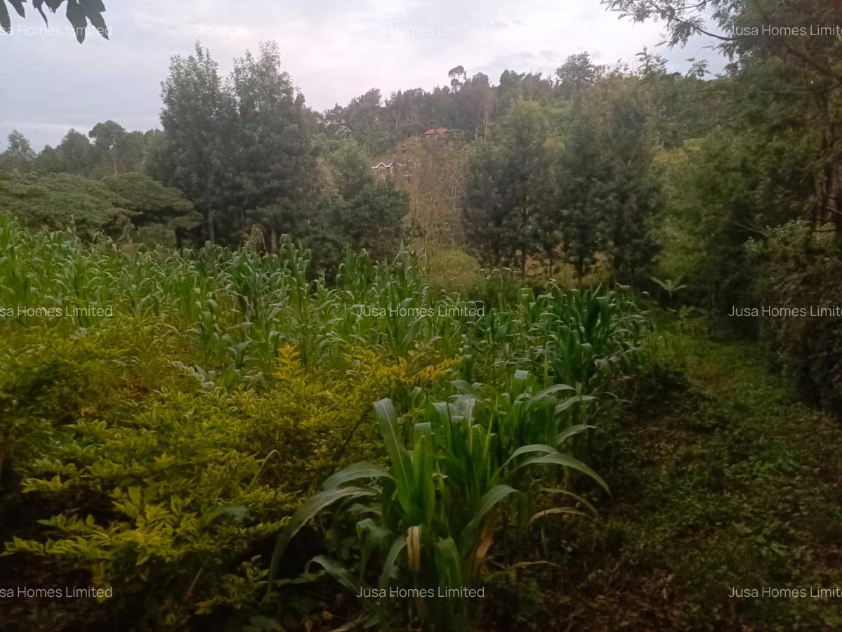 Land in Ngong - 1