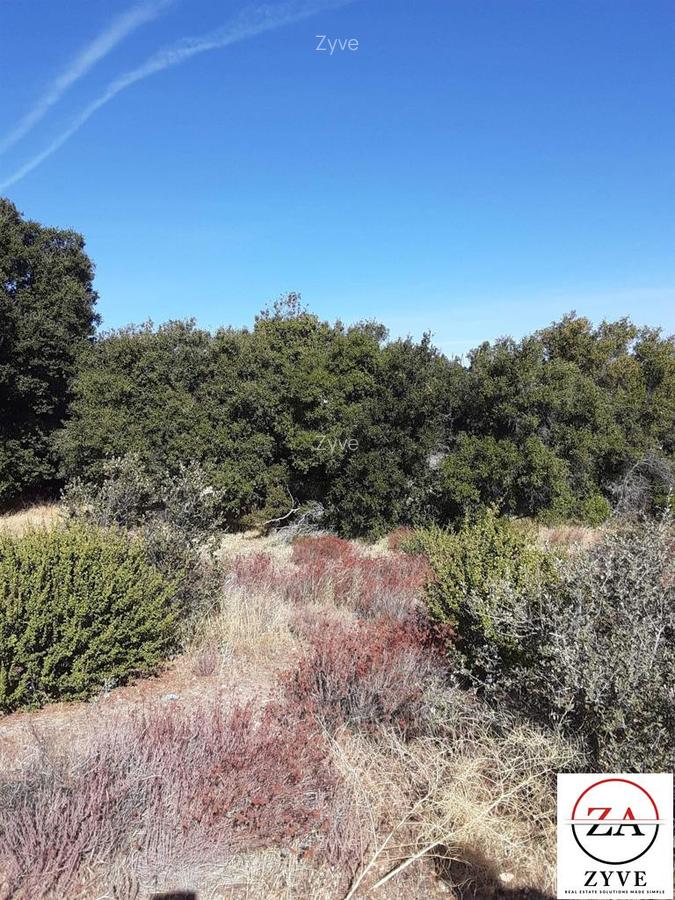 5 ac Land in Kitisuru - 4