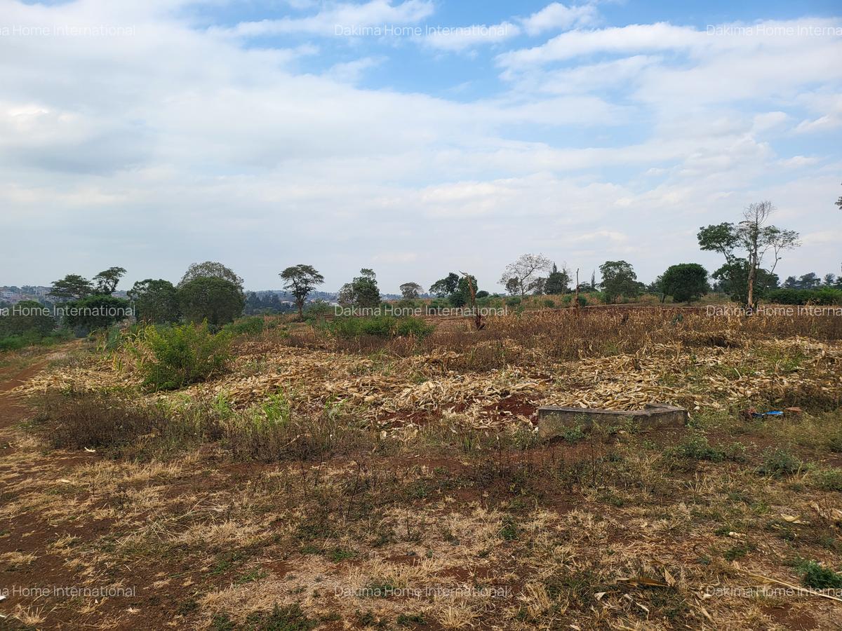 Residential Land in Ruiru - 10