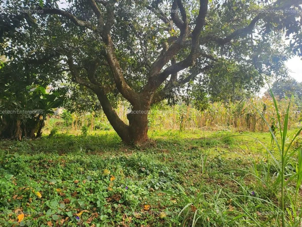 Land in Lower Kabete - 4