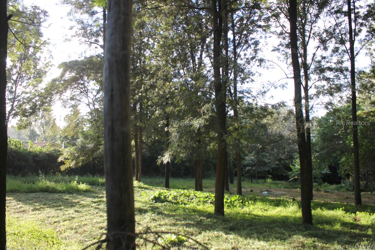 0.10 ha Land at Magadi Road - 12