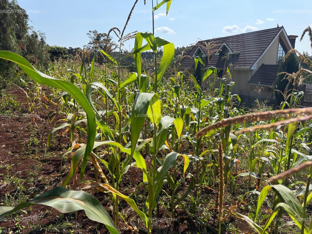 0.025 ac Land in Ngong - 3