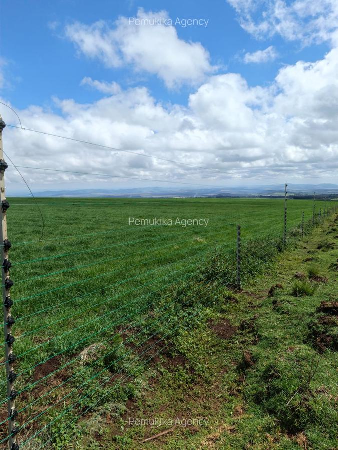 314 ac Land at Timau - 4