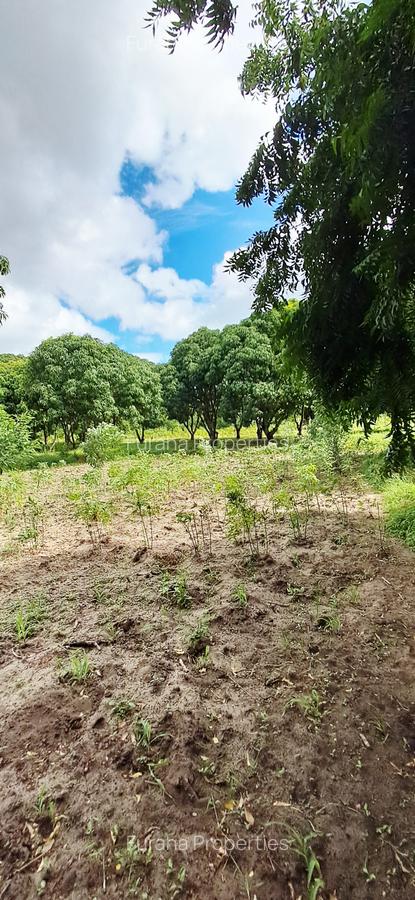 Land at Mtwapa - 17