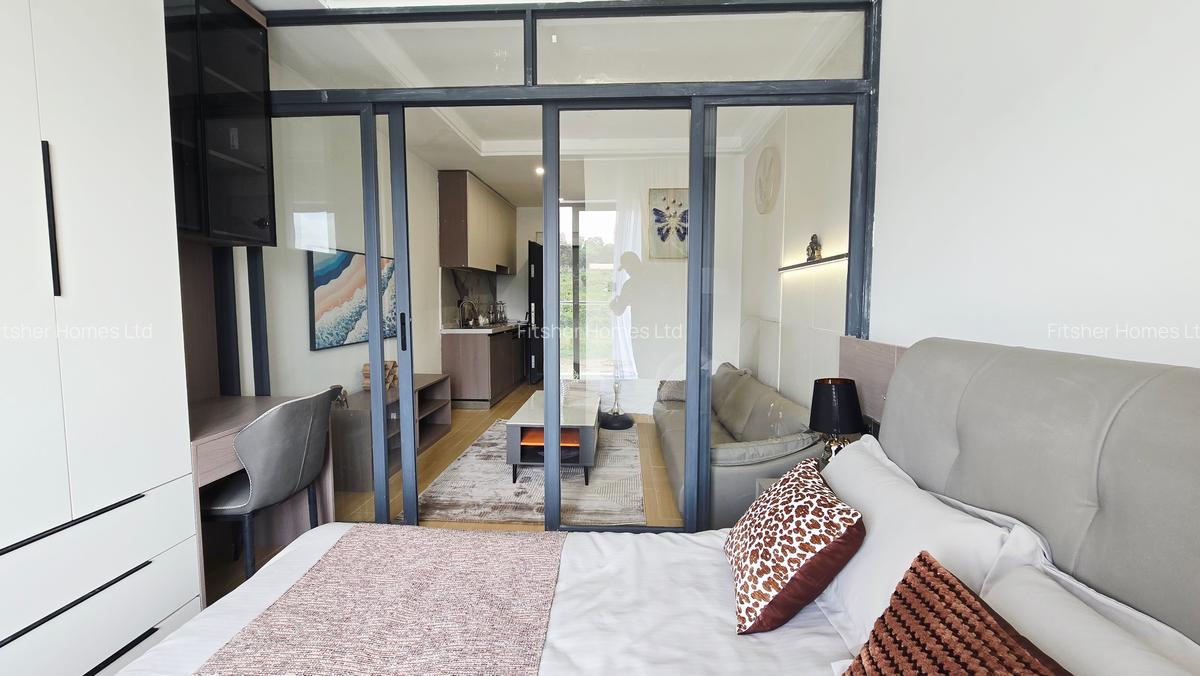 Studio Apartment with En Suite in Thika Road - 3