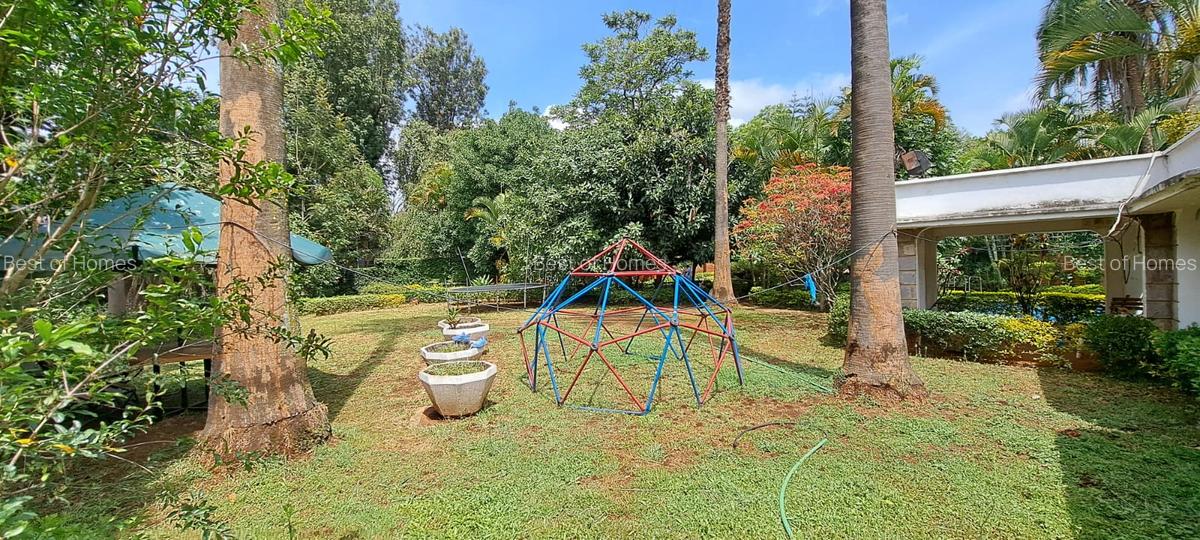 Commercial Property in Lavington - 11