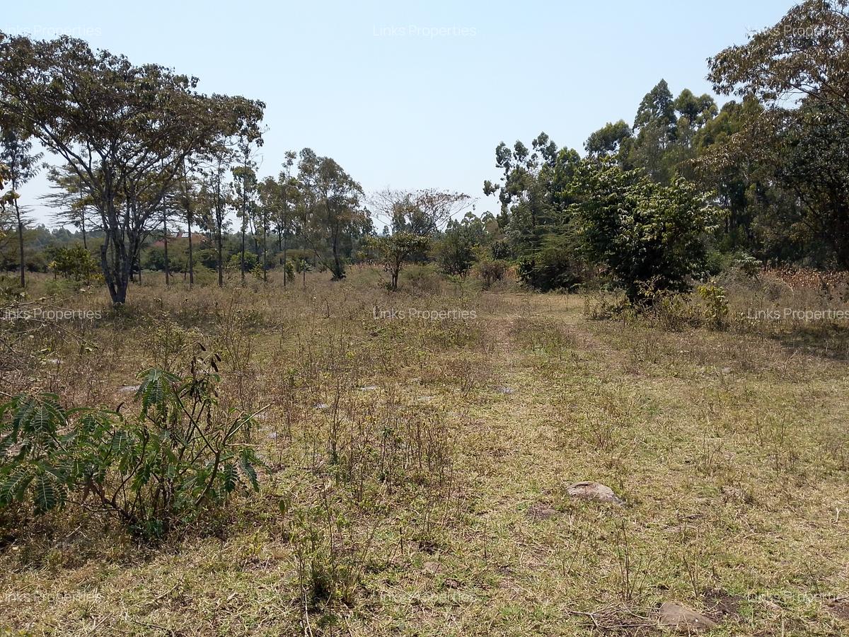 Residential Land at Merisho Road - 4
