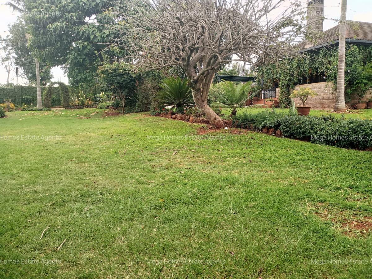 5 Bed House with En Suite in Nyari - 8