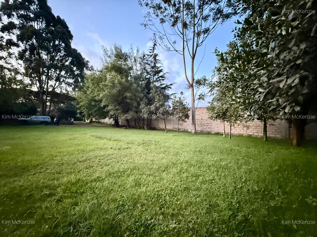 0.5 ac Land at Limuru A104/B3 - 3
