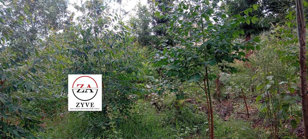 0.125 ac Land at Kasphat Estate - 10