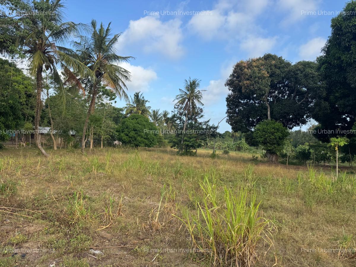 30 ac Land at Kikambala Bomani - 6