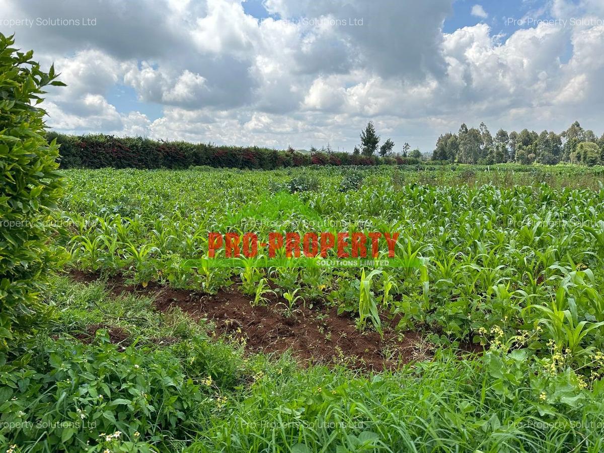 0.4 ha Land at Tilisi - 3