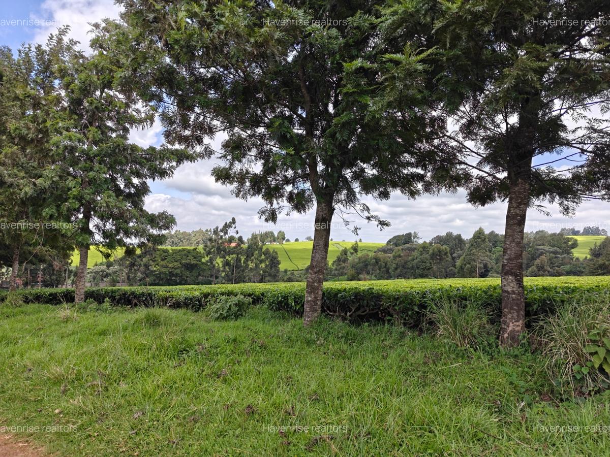 Land at Tigoni - 2