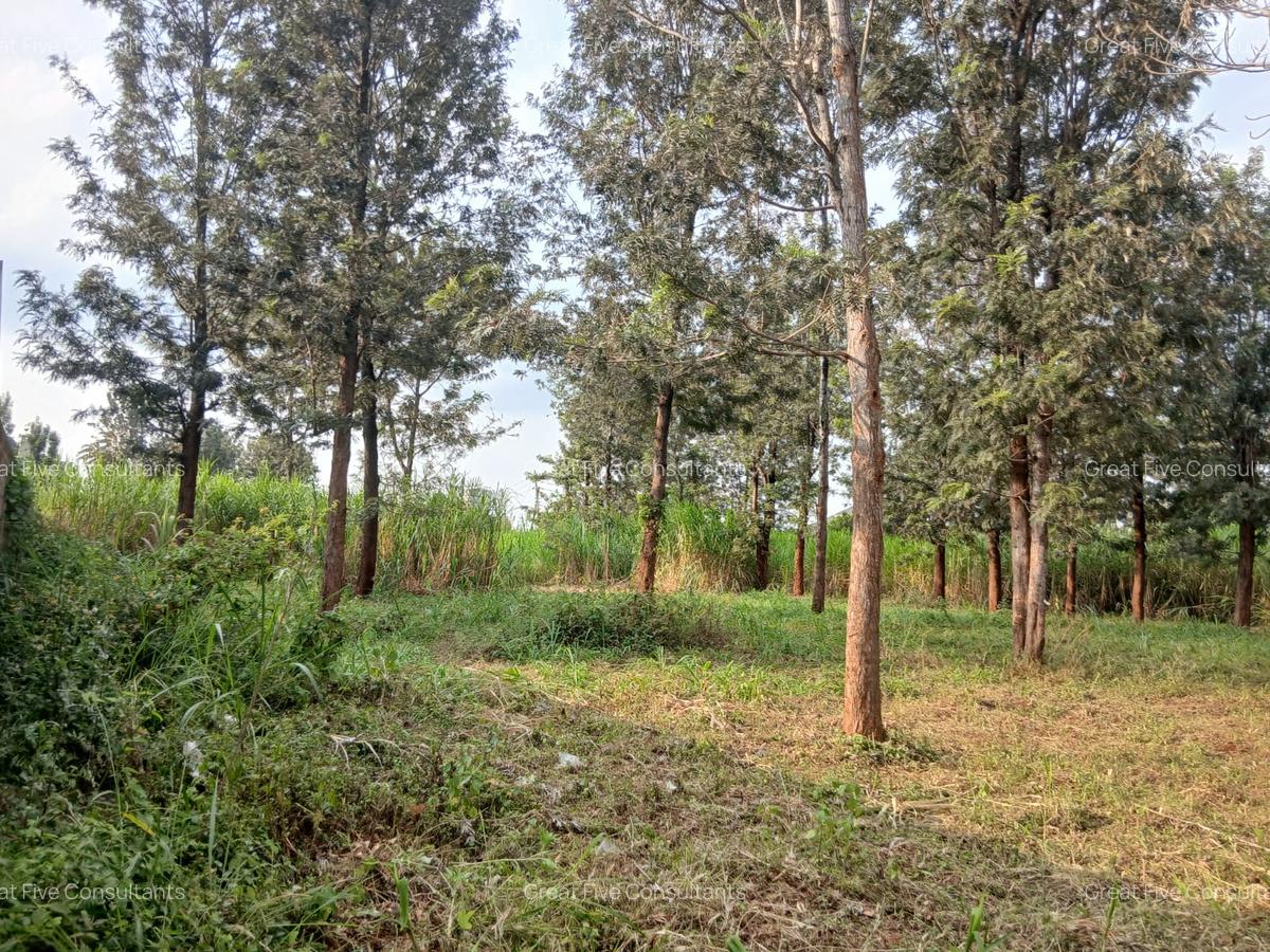 Land in Runda - 3