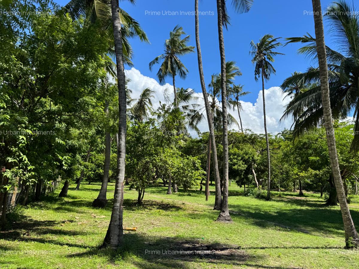 3.9 ac Land at Kikambala Beach - 15
