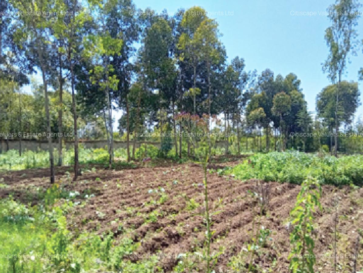 5 ac Land in Naivasha - 3