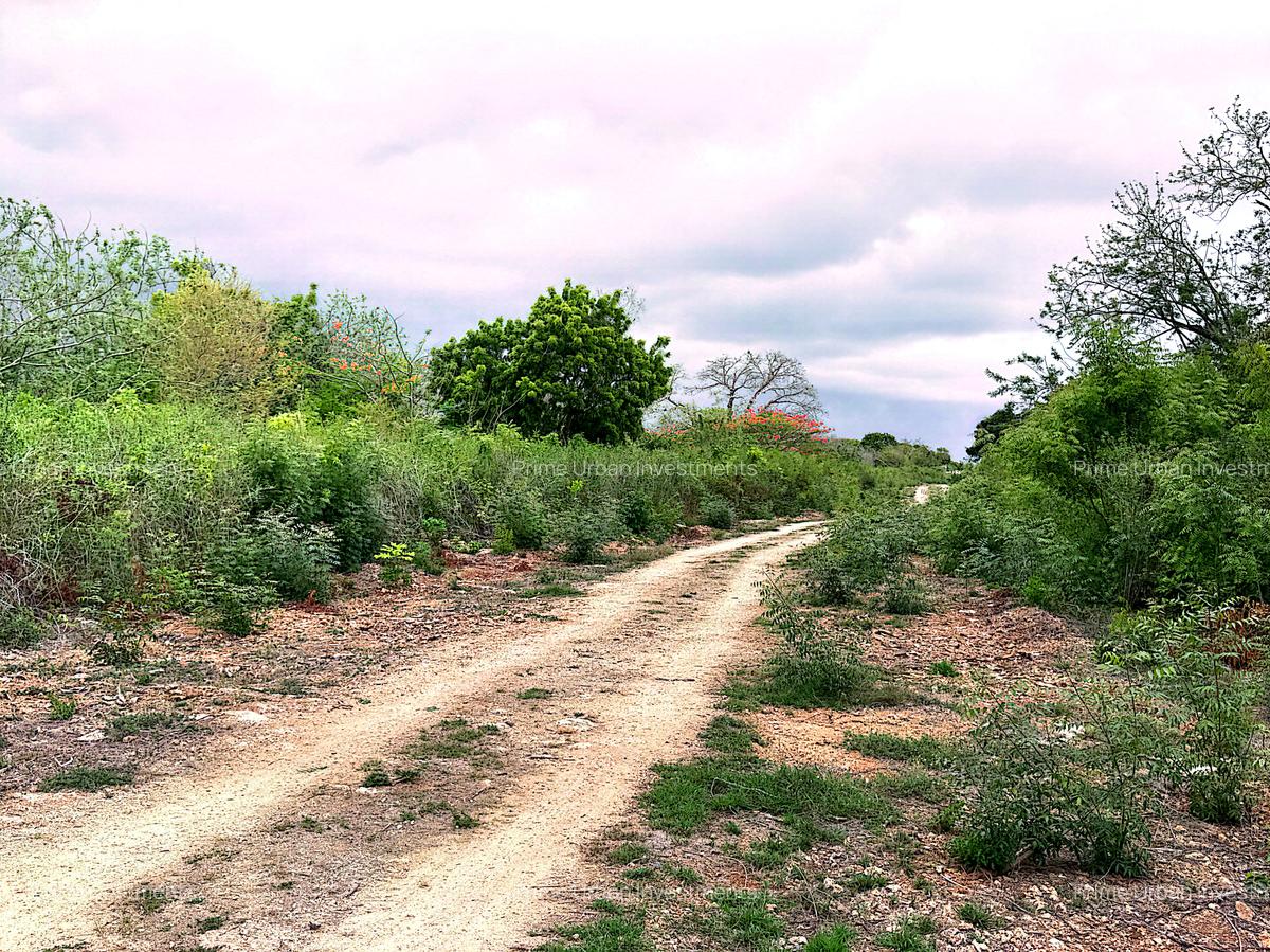 10 ac Land at Kuruwitu Vipingo - 1