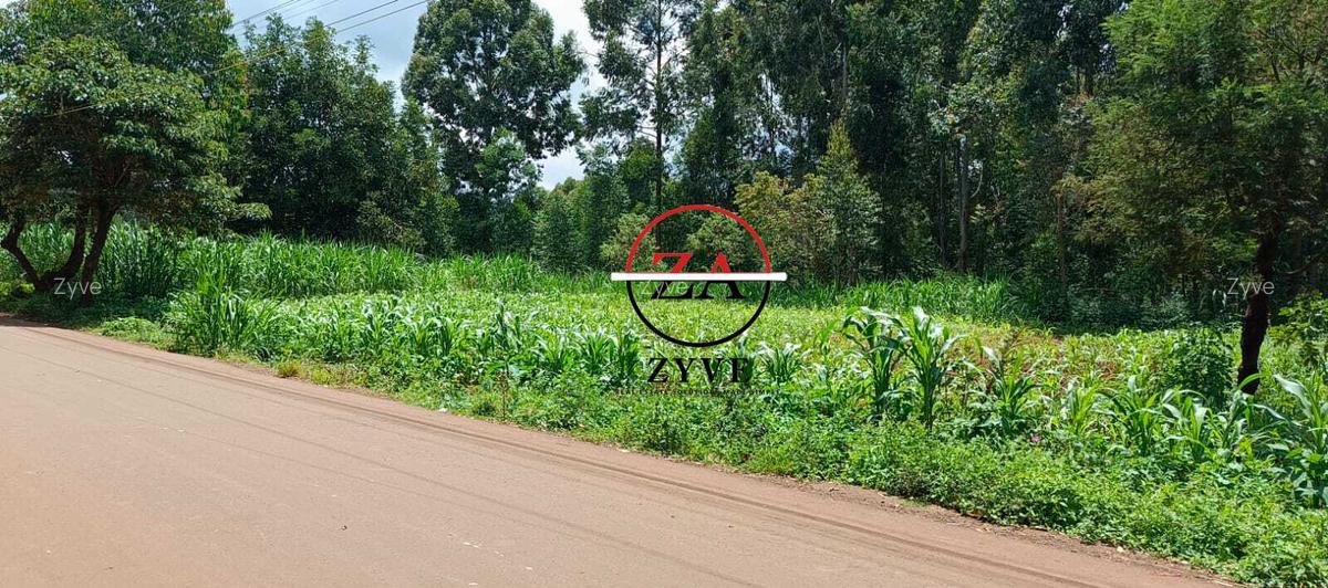 0.125 ac Land at Off Ruaka Banana Road - 10
