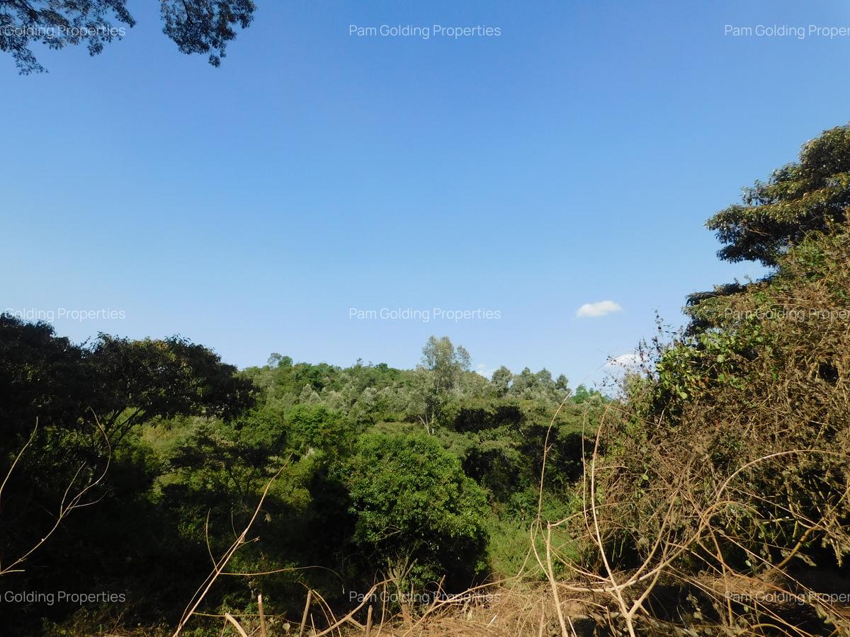 Residential Land in Karen Hardy - 1