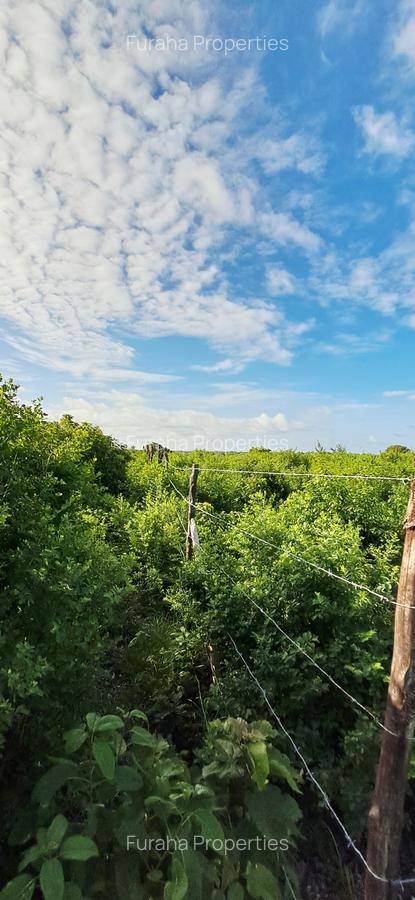 Land at Watamu - 13