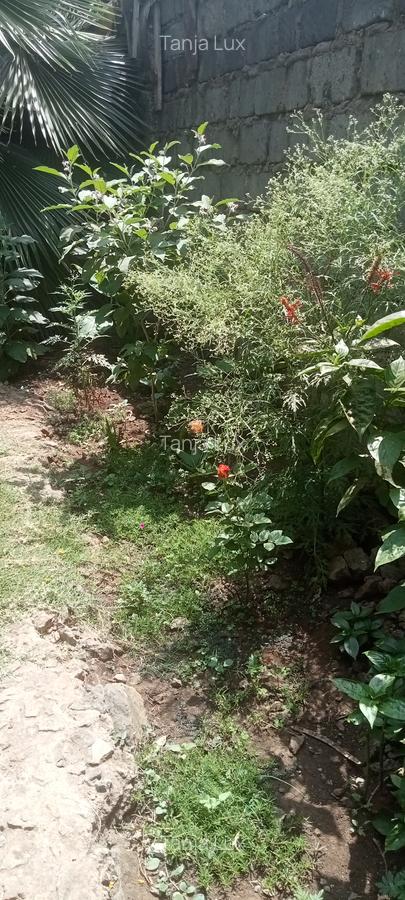 10 Bed House with Garden at Mwea - 4
