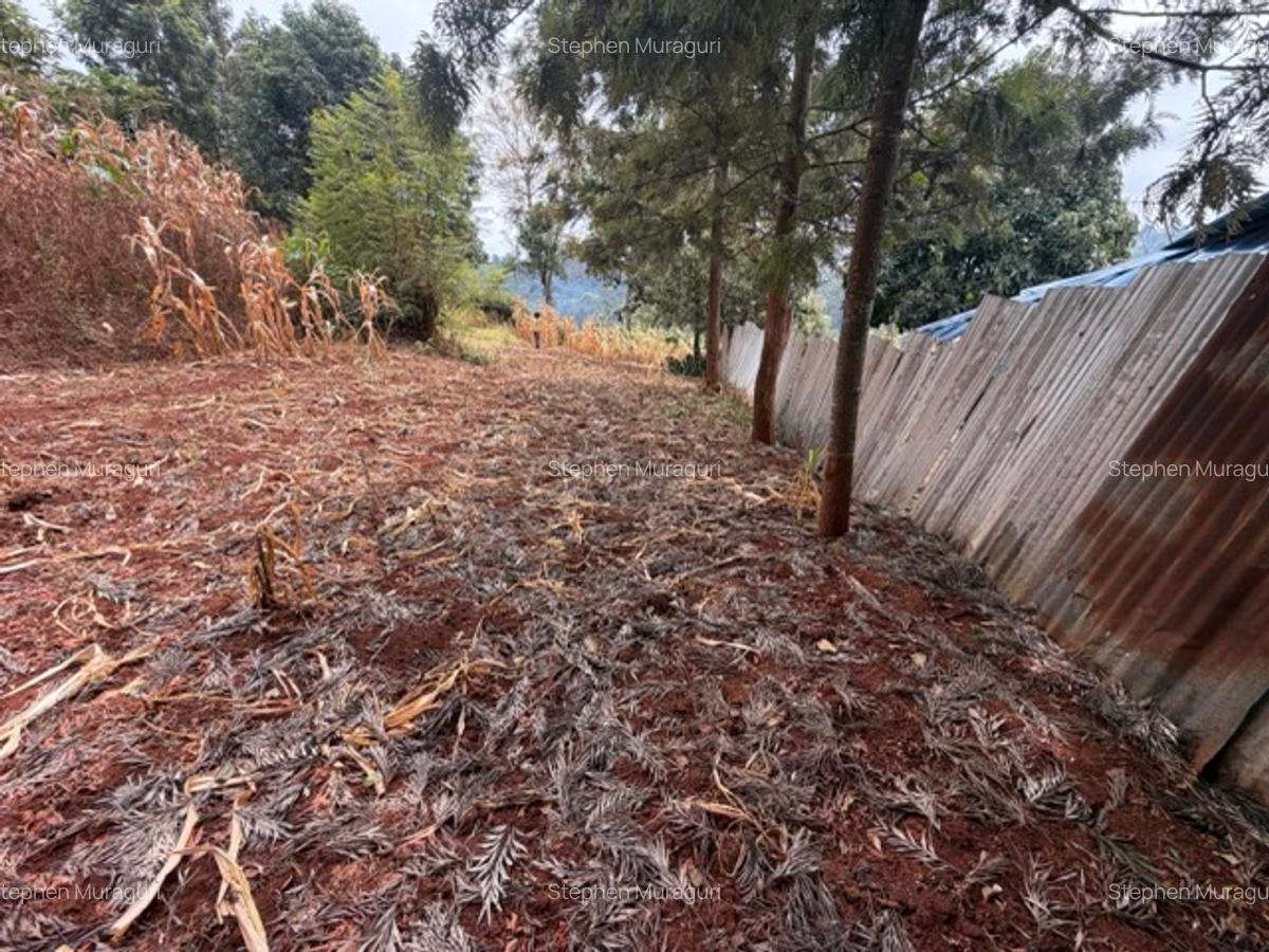 0.25 ac Land in Nyeri - 6