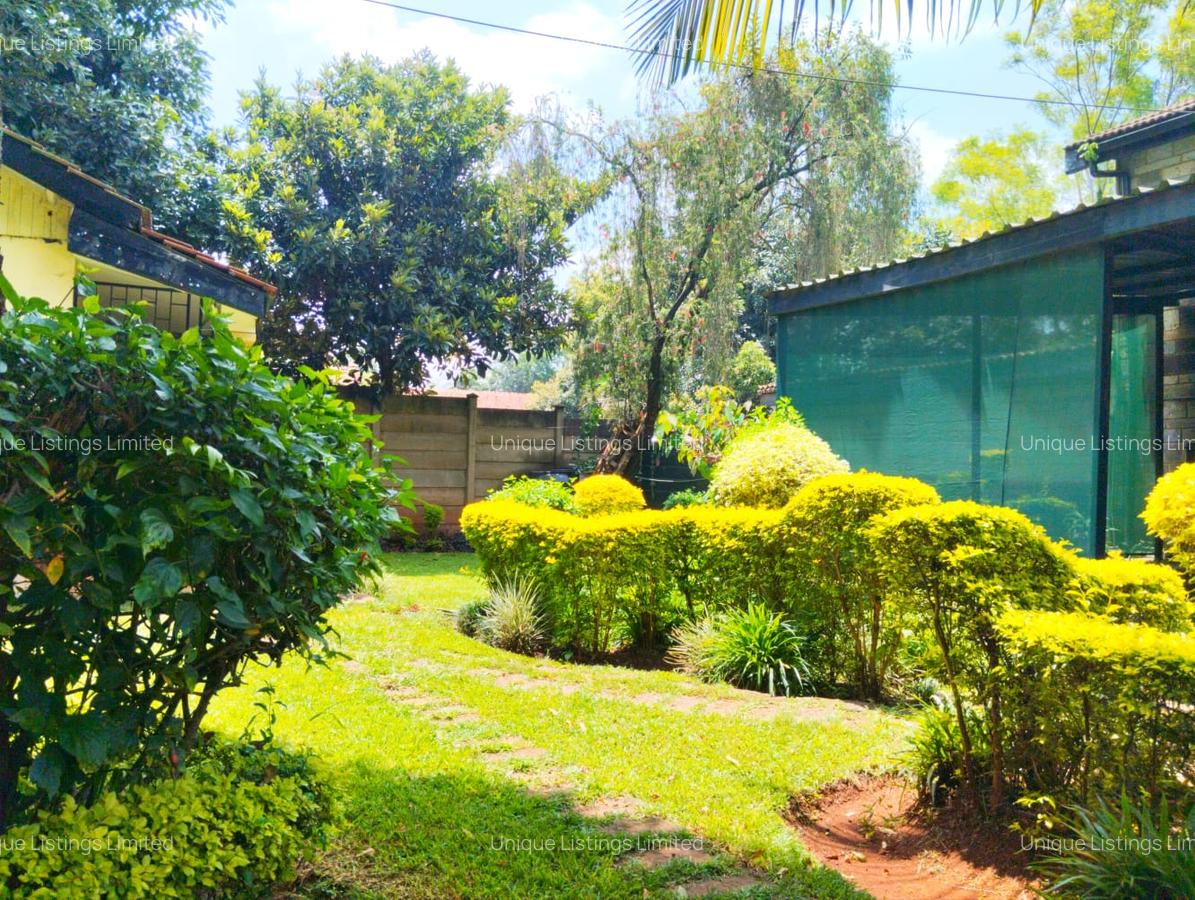0.8 ac Commercial Property with Fibre Internet in Lavington - 3