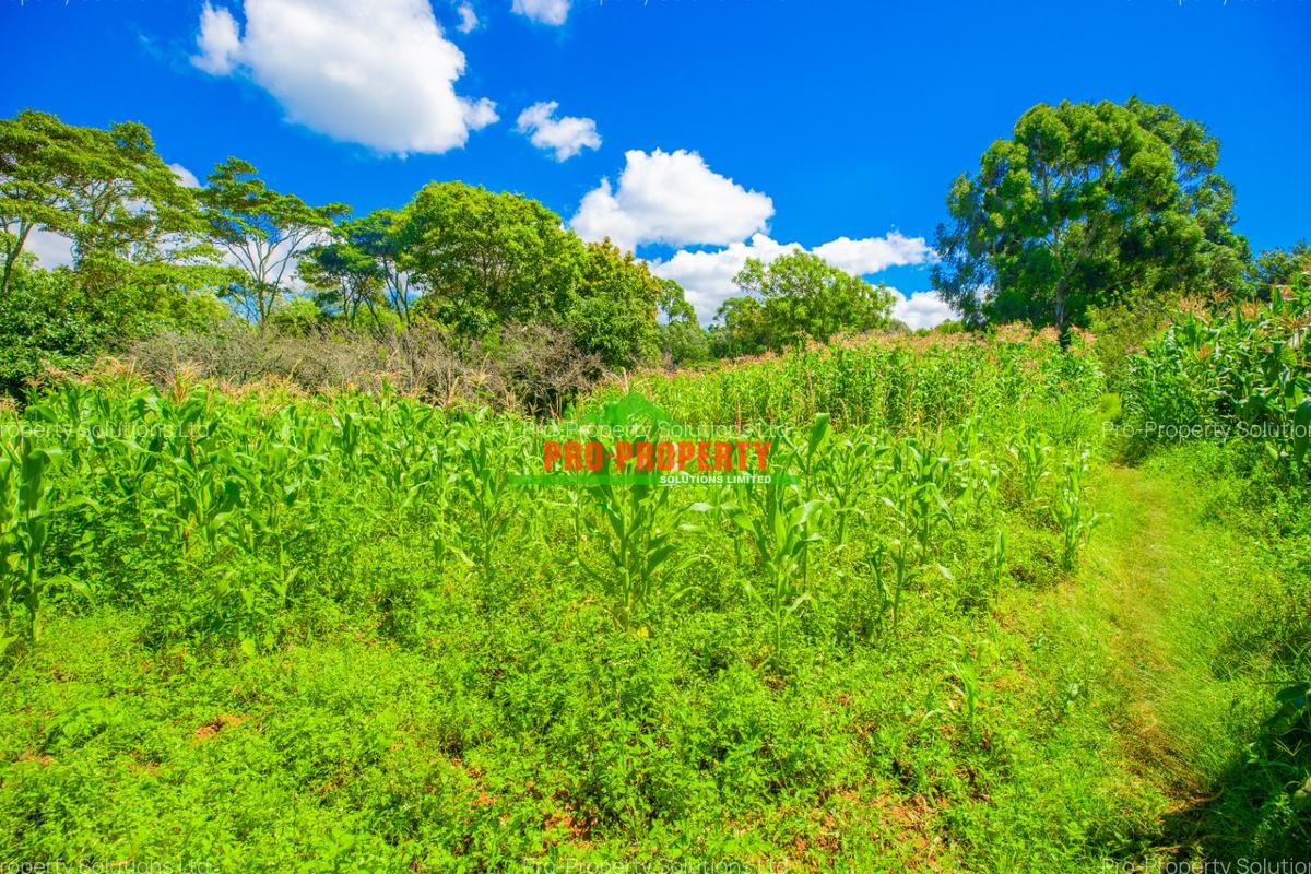 0.2 ha Commercial Land in Ndeiya - 8