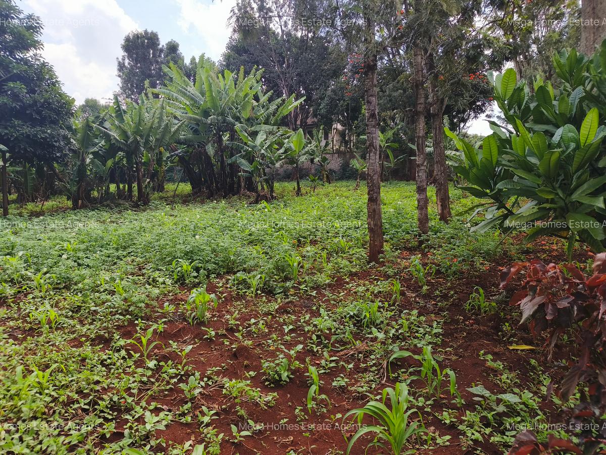 Land at Runda - 3