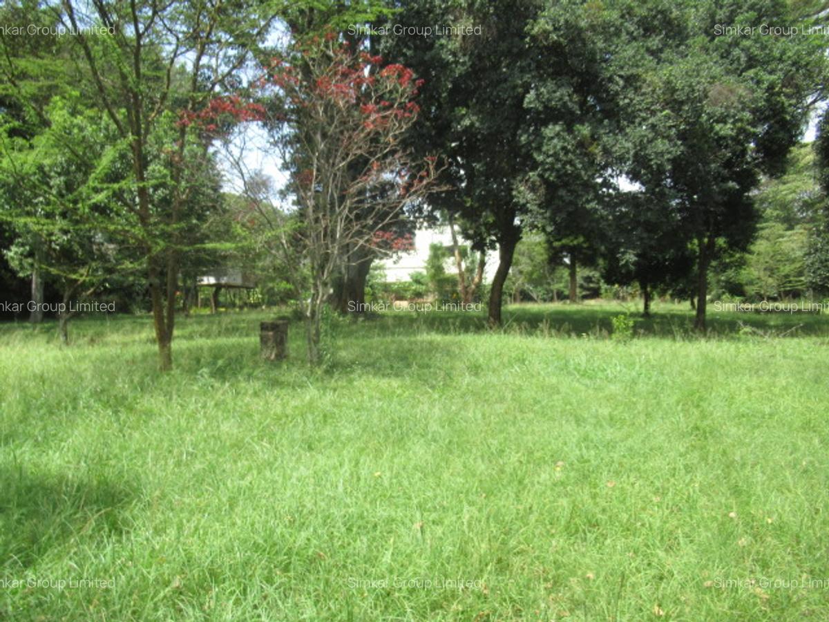 Land at Koitobos Rd - 8
