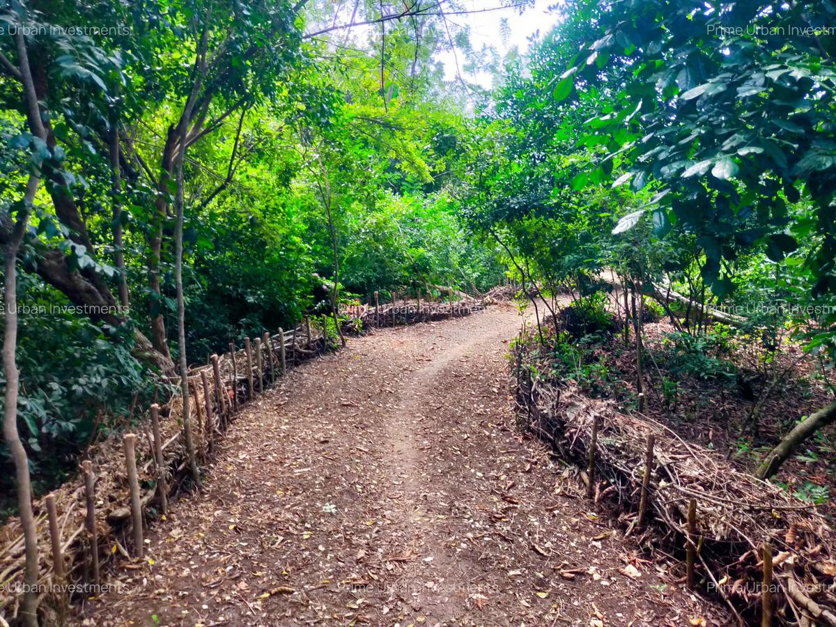 Land at Mtwpa Creek Aloo Drive - 19