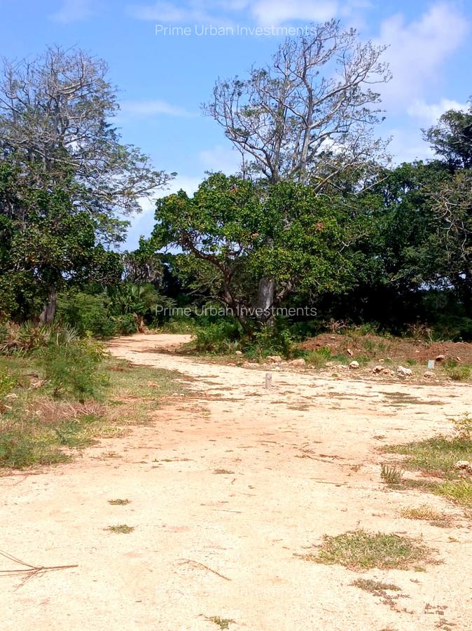 1,000 m² Residential Land at Vipingo - Kuruwitu - 6