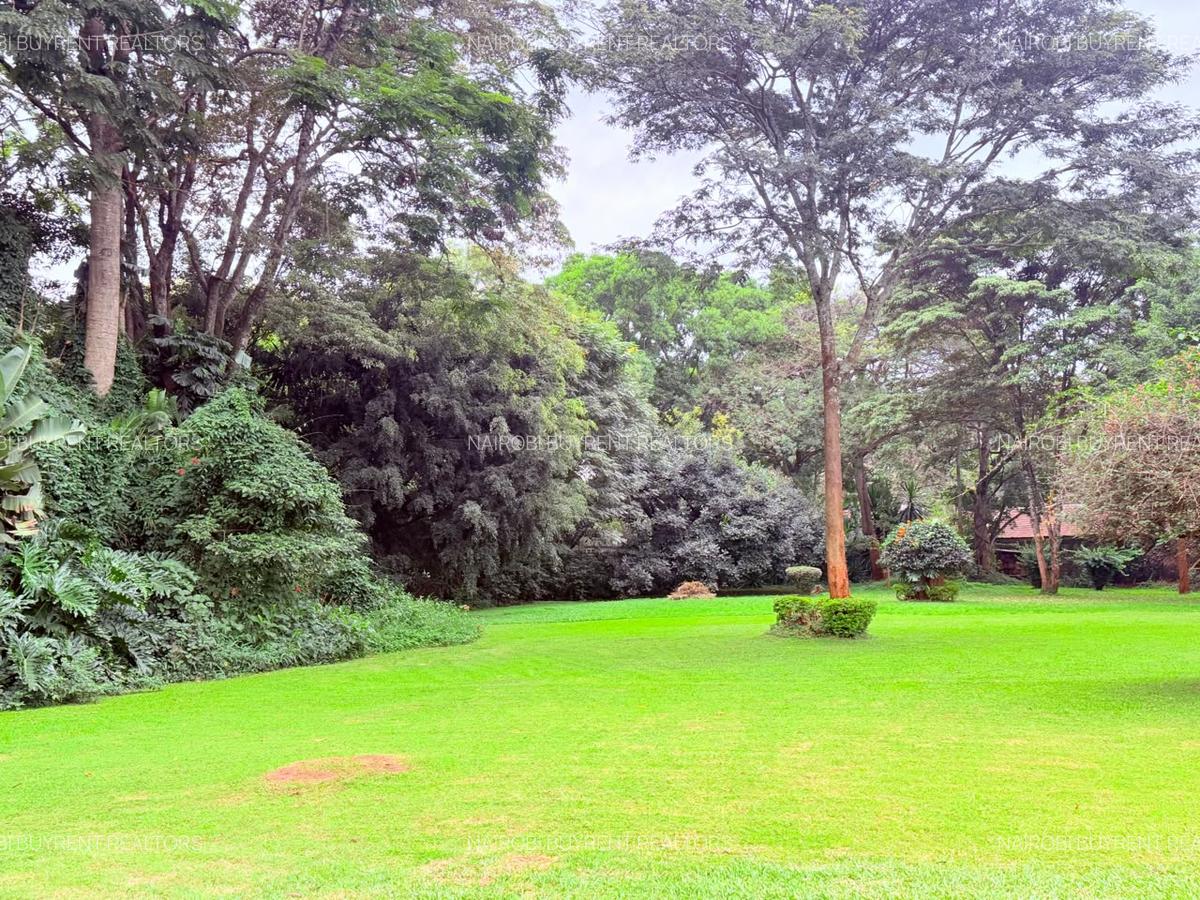 4.1 ac Land in Rosslyn - 9